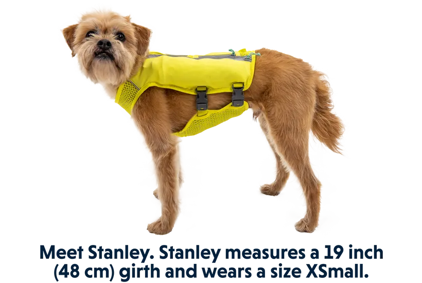 Trail Runner Dog Running Vest